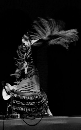 espectaculo flamenco en Japan
