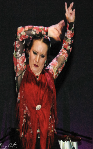 flamenco Japan