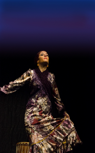 tablao flamenco Japan