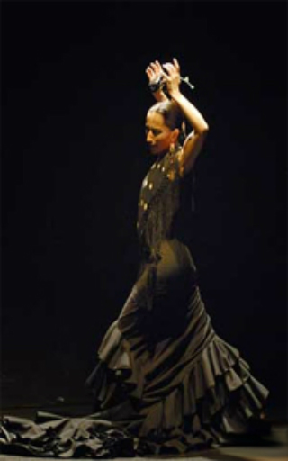 flamenco course Japan