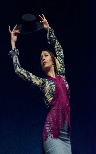 spectacle flamenco Japan